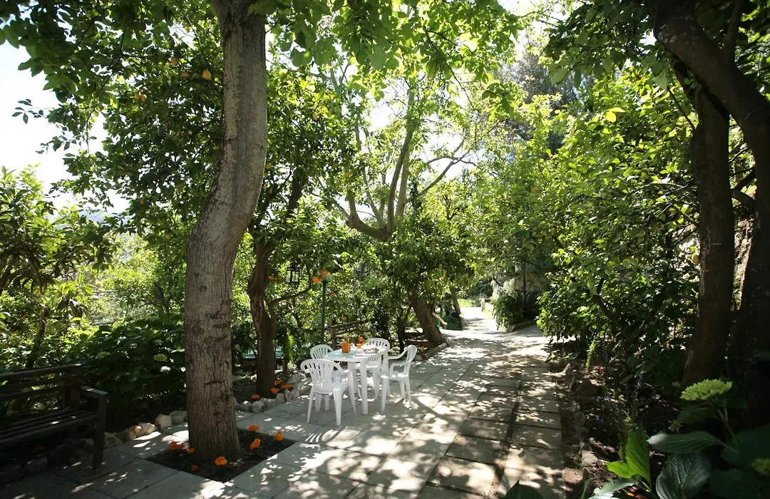 B&B L' Arancio In Fiore-1
